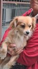 20250925 151946