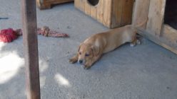 Dsc01196