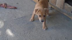 Dsc01197