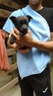 Dsc01185