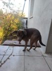 winni 2.
