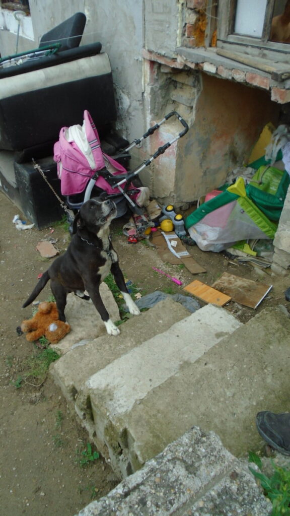 Dsc00641