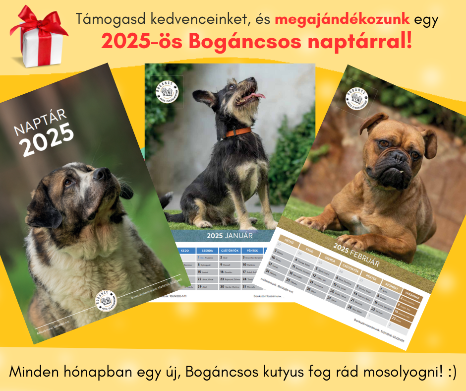 Naptár 2025