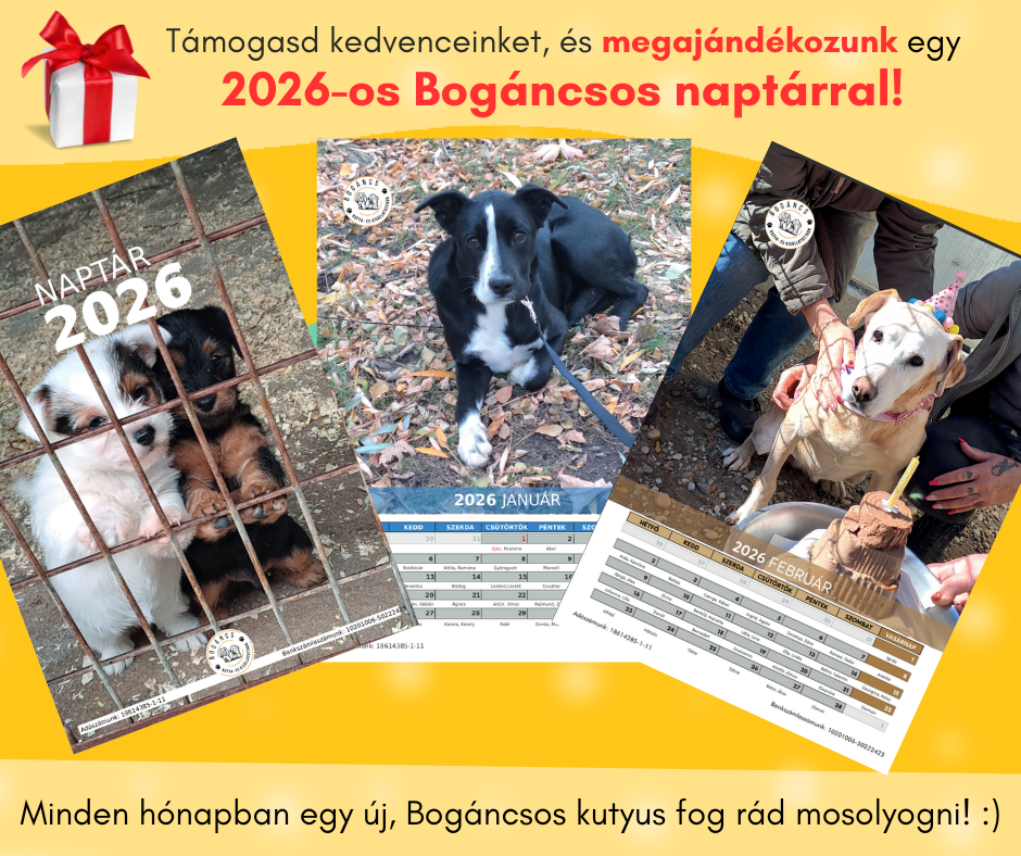 Naptár 2026