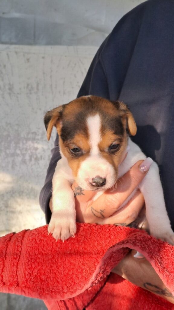 20260310 153736