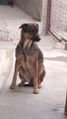 Cc6ac193 05a3 4de0 A126 99b2a8ab9c27