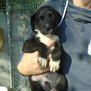 Dsc01743
