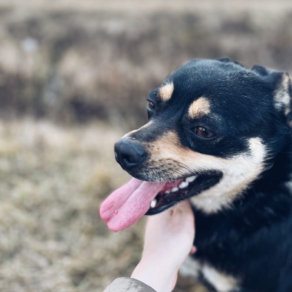 Processed With Vsco With A5 Preset