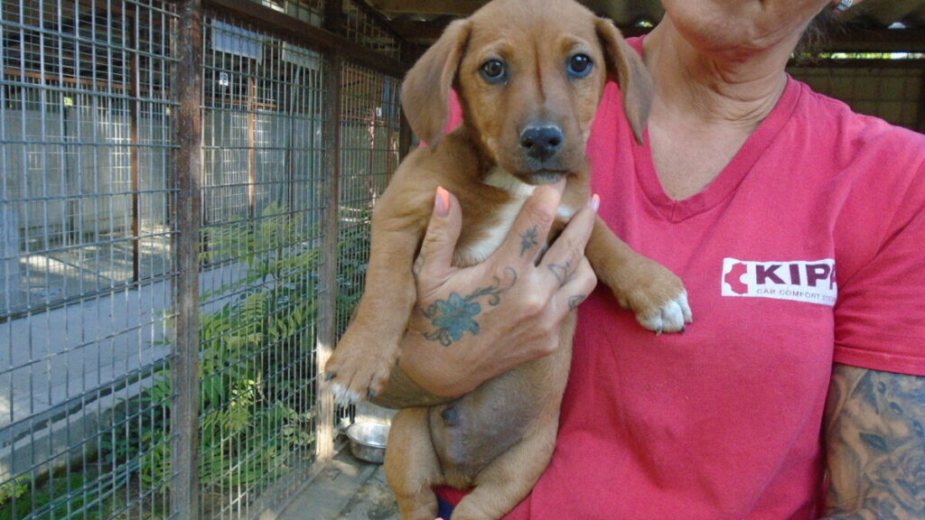 Dsc01431