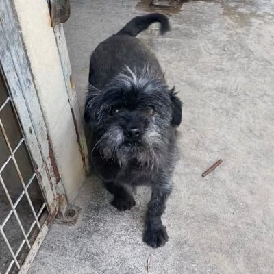 Lukrecio 22 1024x1024