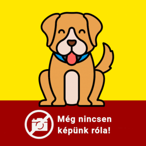 Nincsen képünk róla