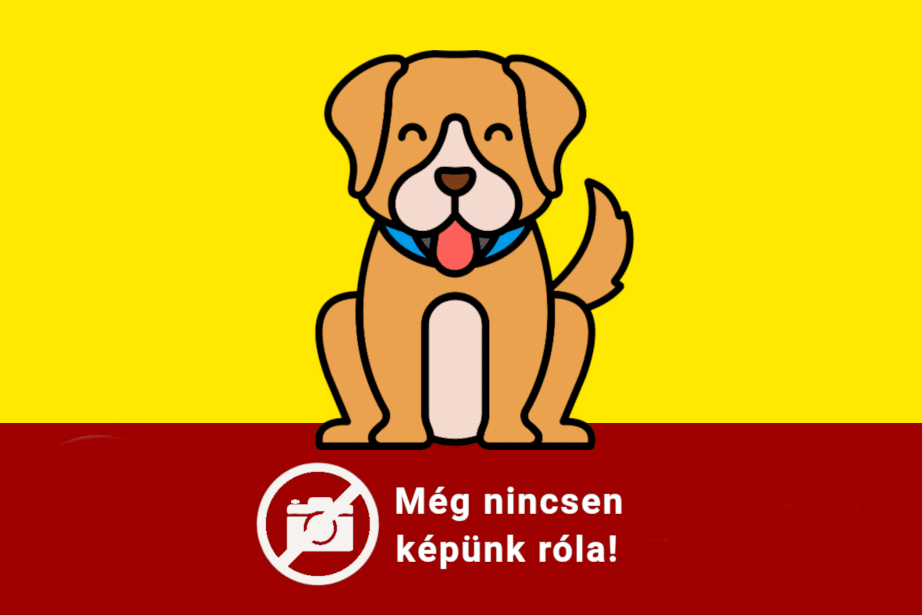 Nincsen képünk róla