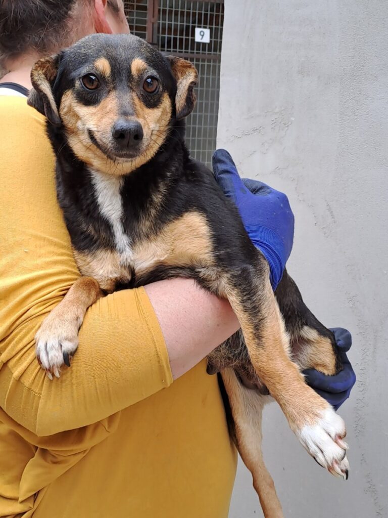 20230411 151236
