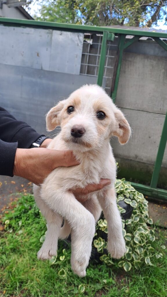 20251007 111542