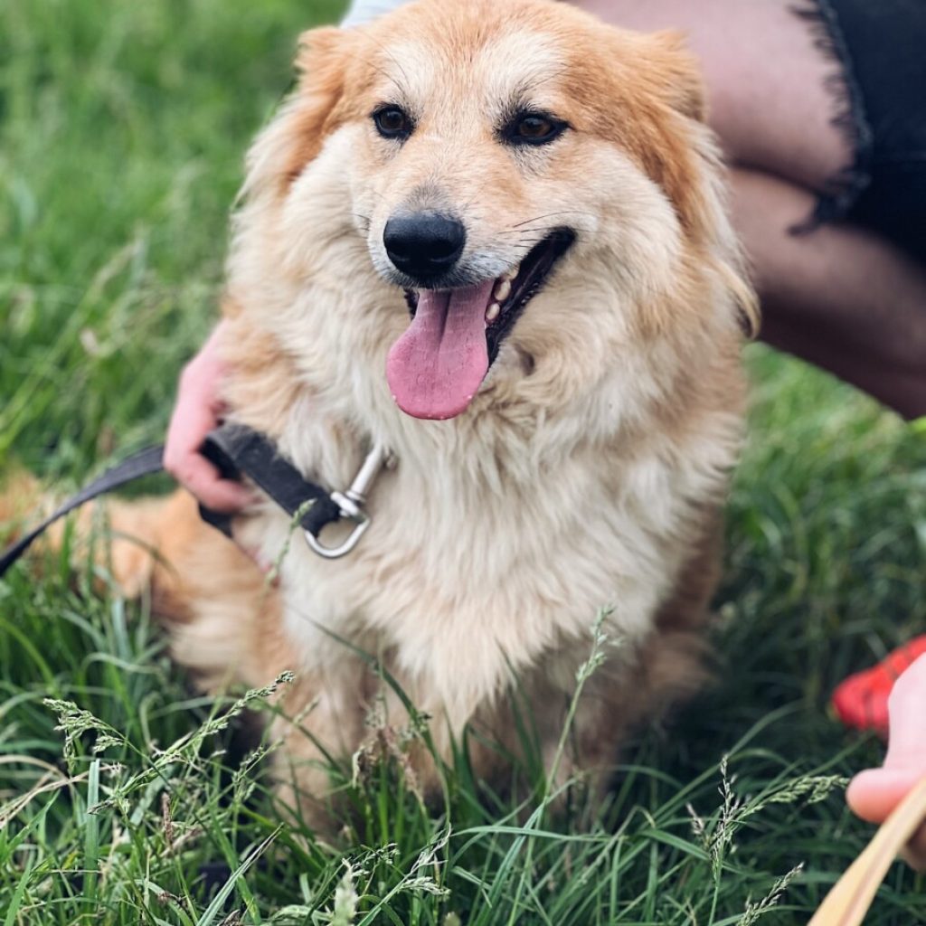 Processed With Vsco With A5 Preset